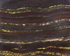 Tiger Iron Stromatolite Shower Tile - Billion Years Old #48789-1